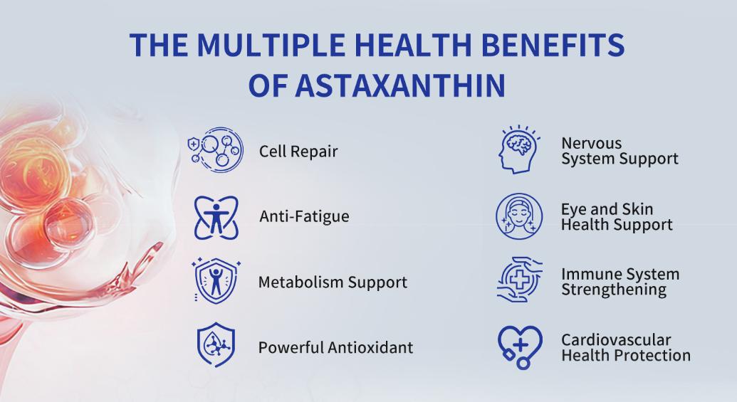 VITARENEW Astaxanthin 12mg Supplements, 120 Softgel, Max Strength Astaxanthin Antioxidant Supplements, Fresh Microalgae, 4 Month Supply, Supports Eye, Joint, Internal Circulation, Skin Health, 1 Bottle VITARENEW Astaxanthin 12mg Supplements, 120 Softgel, Max Strength Astaxanthin Antioxidant Supplements, Fresh Microalgae, 4 Month Supply, Supports Eye, Joint, Internal Circulation, Skin Health, 1 Bottle