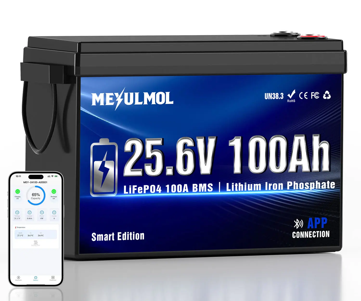 24V 100Ah LiFePO4 Lithium Battery with Bluetooth, 100A BMS, 2560Wh Energy, 5000+ Cycles, Perfect for RV, Solar, Trolling Motor, Camping, Off-Grid & Home Backup