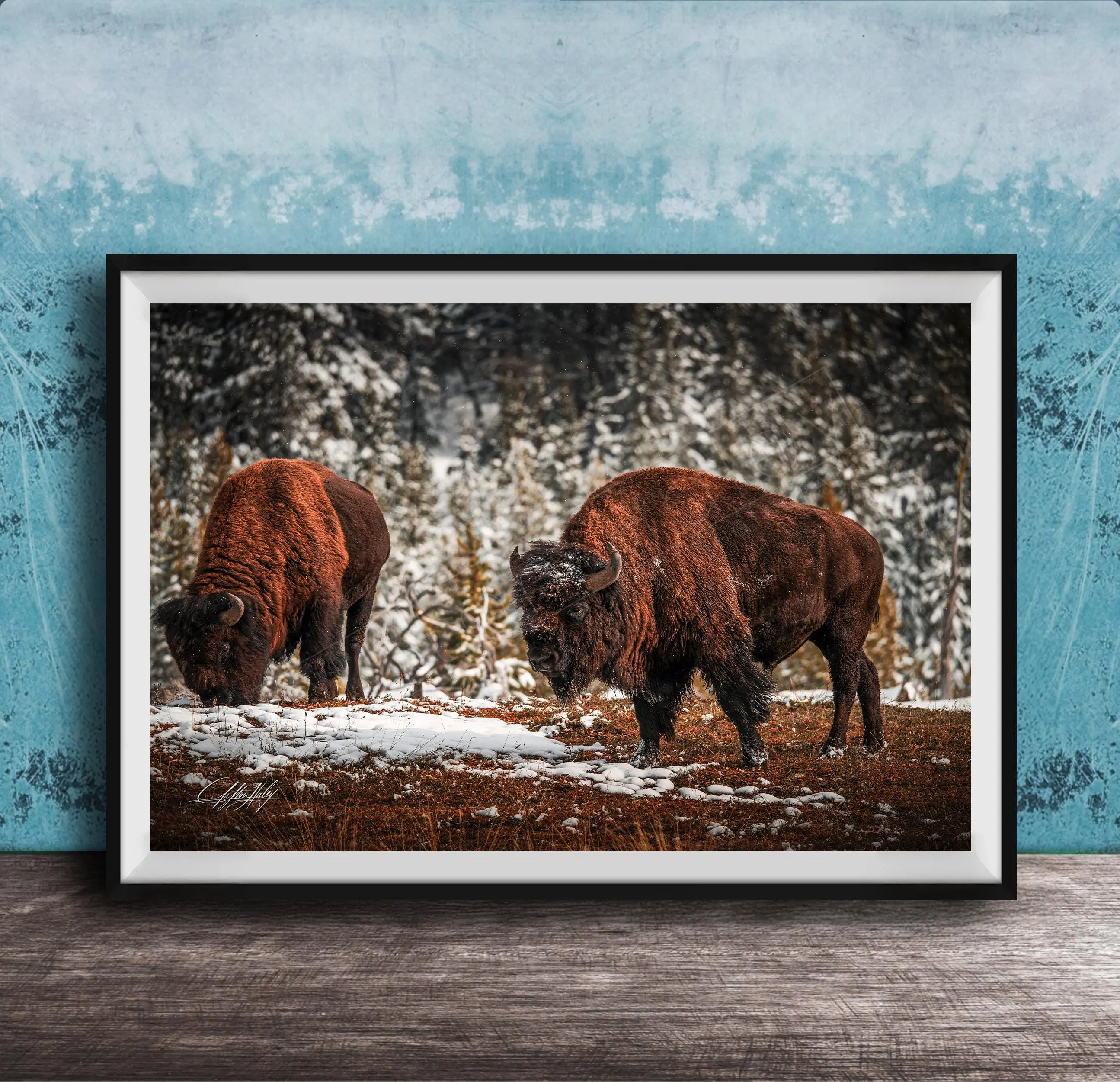 Bison Wall Art – American Bison Canvas | Rustic Cabin Decor & Snow Scene Artwork