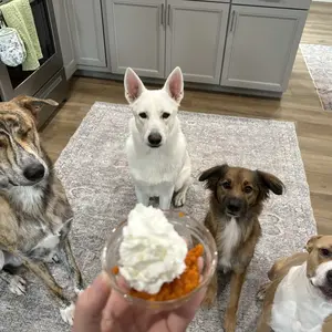 Earth Rated | 3-in-1 Pet Grooming Wipes for Dogs & Cats, Cleaning, Deodorizing & Hydrating, White Tea & Basil Scent, 400 Count