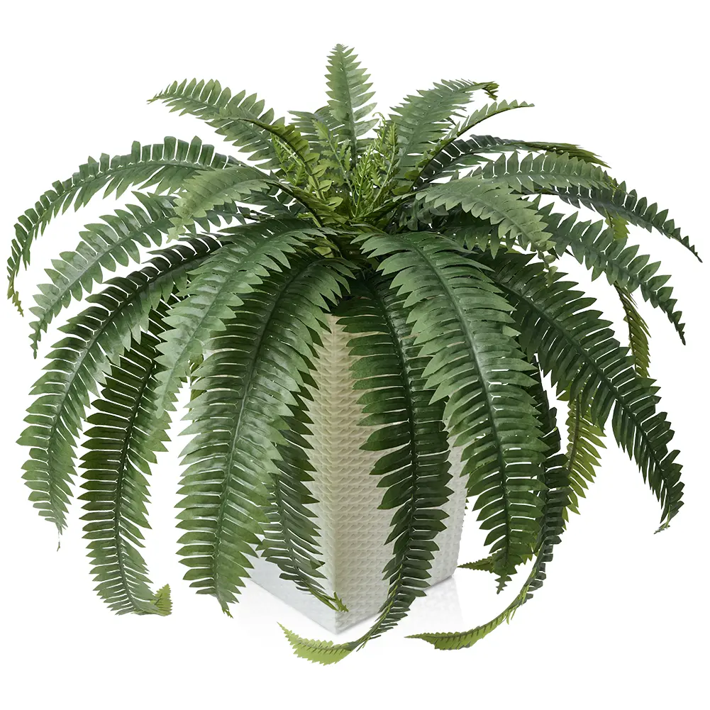 VeriNatural 33/39 Fronds  Artificial Boston Fern Bush with Black Taper Planter for Indoor & Outdoor (1/2-Pack)(VN153)