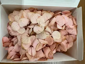 Hydrangea Box