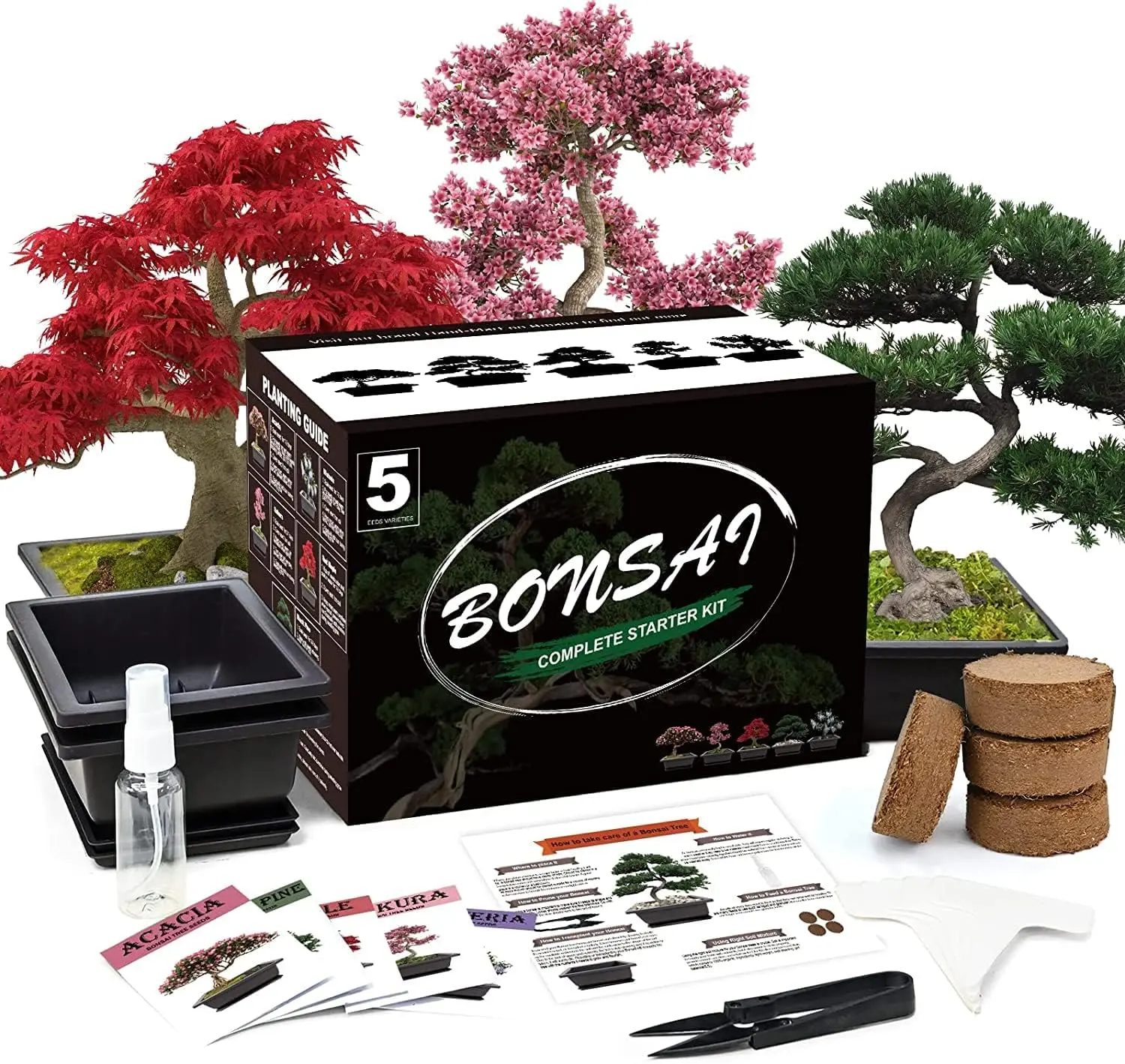 Indoor Bonsai Tree Complete Starter Kit - Plant Supplies, Planting Box Kit, Indoor Gardening Tool Set for Beginners, DIY Potted Plant Growing (Home Improvement Garden Support), Bonsai Care, Premium Soil