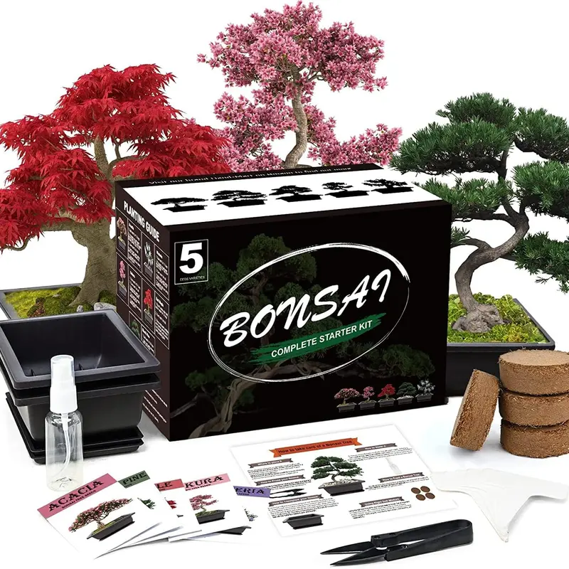 5 Bonsai Tree Complete Starter Kit for Beginners - Indoor Houseplant Grow-at-Home Supplies with Pots for Plants, Self-Watering Box, Coconut Coir Premium Soil Discs, 1 Manual Booklet, Water Bottle, 5 Plant Markers (DIY Gifts)