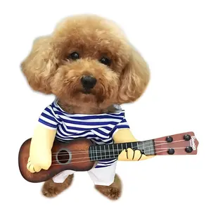Dog with his Guitar costume