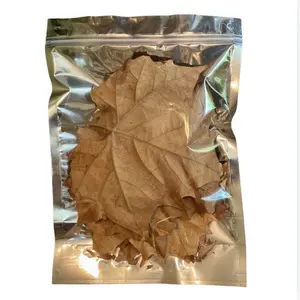 JRS Sycamore Leaf Litter