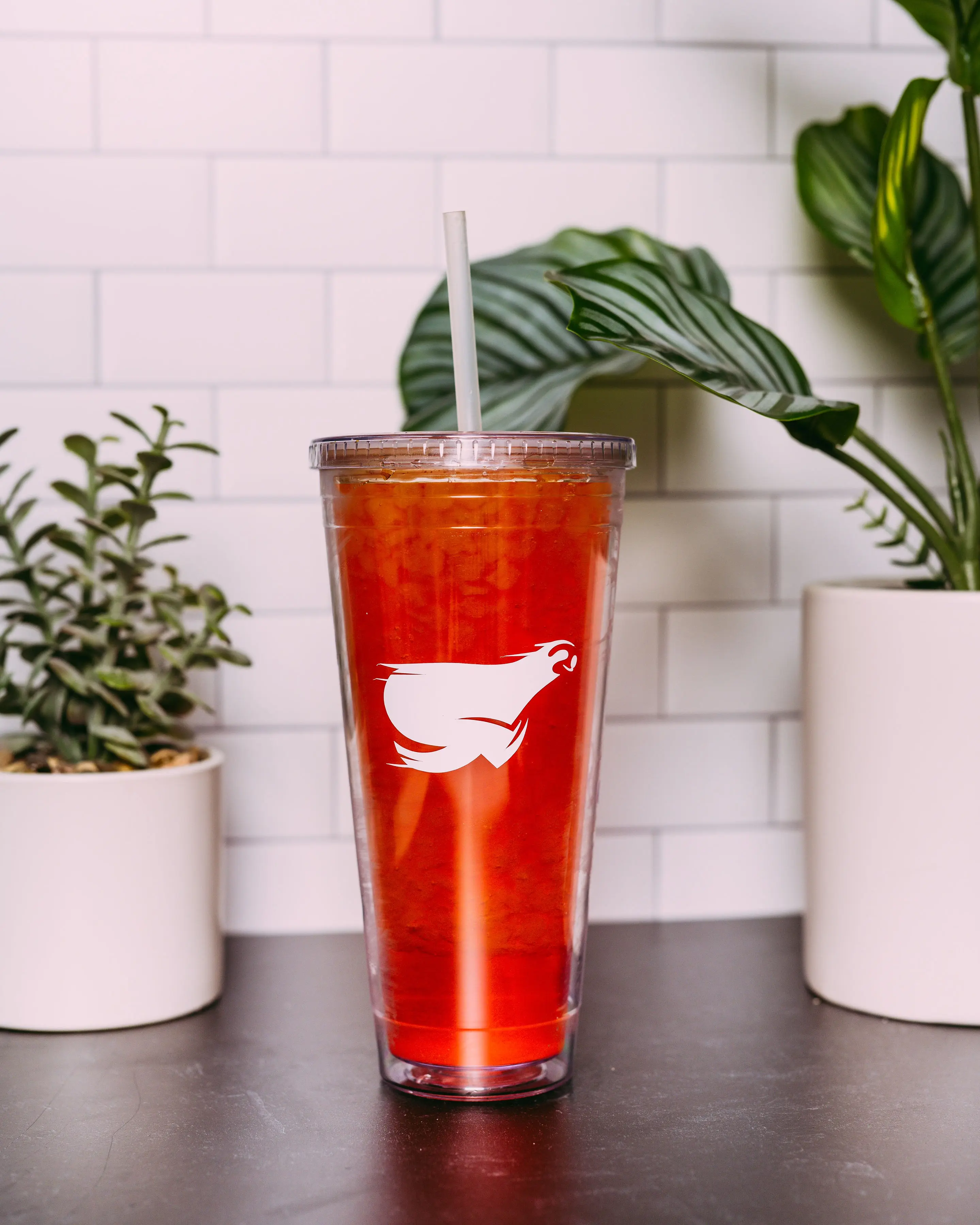 Cherry Bomb X-Treme Tea | 0 sugar, carbs, or calories | Natural Energy Boost