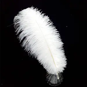 16-18 inch White Ostrich Feathers Craft for Wedding Party centerpieces Home Decoration DIY Craft Pack of 10