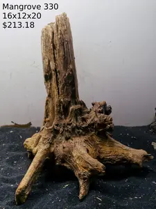 Mangrove Tree Stump 330