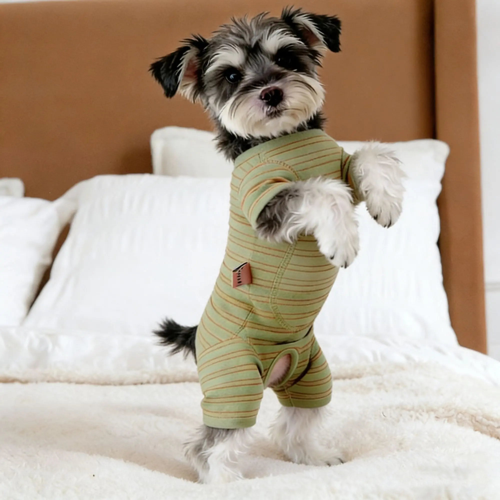 Green Striped Dralon 4-Legged Dog Belly Wrap Pajamas, Soft Warm Recovery Suit for Small Dogs & Cats (Yorkie, Bichon, Teddy) Pet Home Clothing
