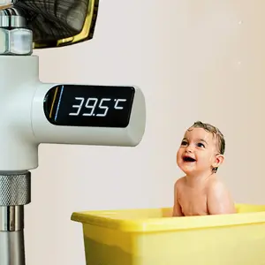 Smart Electronic Faucet