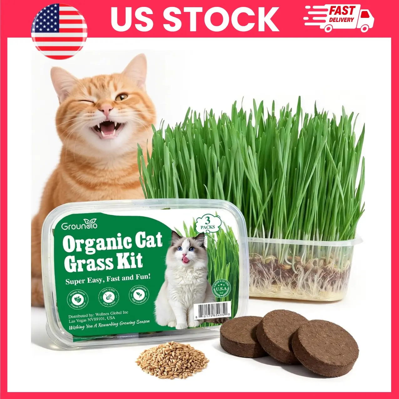 Cat Grass Seeds, Wheat & Oat Seed Mix for Indoor Cats, Non GMO Heirloom Pet Grass Seeds with High Germination Rate, Fast Growing Cat Grass Kit for Digestion Hairball Relief & Oral Health, Indoor Pet Garden Seeds for Cats Dogs Rabbits, Pet Supplies
