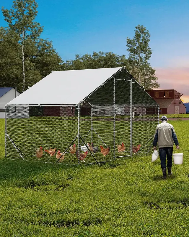 GAOMON Large Metal Chicken Coop, Chicken Run for 6/10 Chickens, Outdoor Walk in Poultry Cage with Anti-UV Cover and Waterproof, 6.56 x 9.84 x 6.56 ft