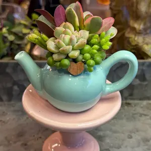 Mini Teapot Succulent Design - Adorable Character Planters for Succulents and Cacti - Perfect for Home Decor and Gift Giving