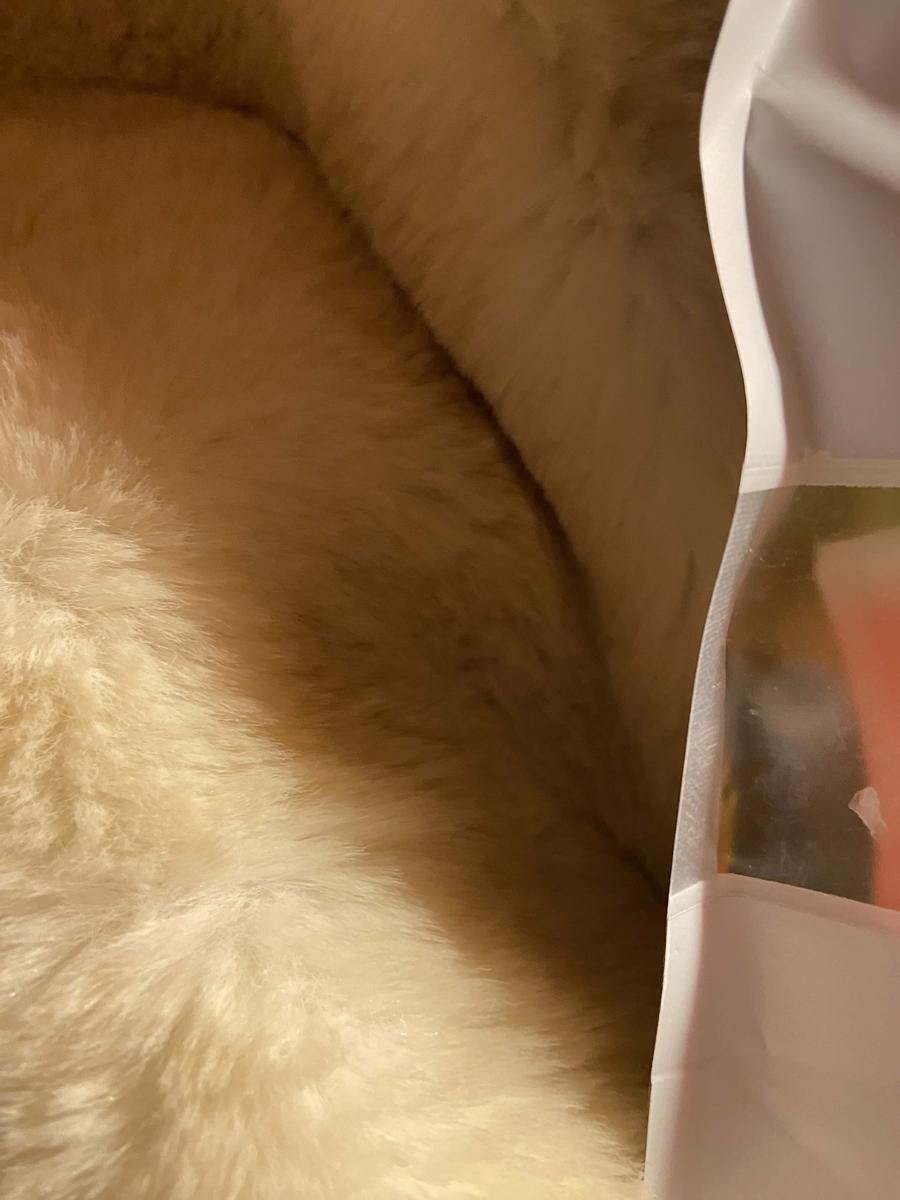 Item: 8 oz ( half pound ) bottle wax candy