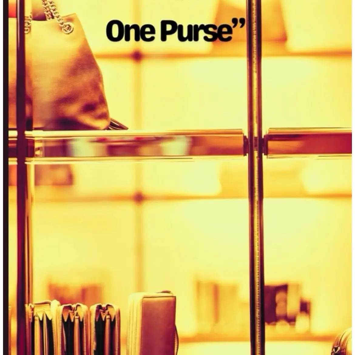 I Just Can’t Pick One Purse Journal/ Notebook