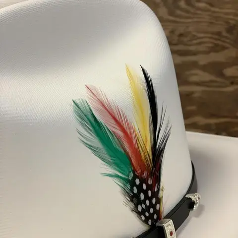 STETSON & RESISTOL "ORIGINAL" CLASSIC COWBOY HAT FEATHER