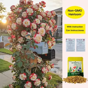 【Buy 2 Get 1 Free】200/1000pcs Rare Twin Red White Rose Flower Seeds for Planting - Captivating Garden Blooms Non GMO Heirloom Garden - Planting Instructions for Easy Grow - Great Gardening Gifts red blend hybrid rose  Double Delight