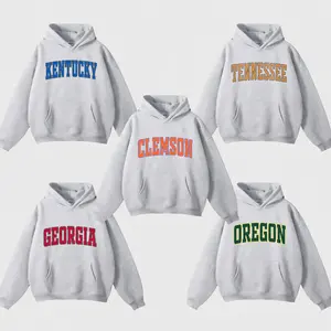 Custom College Team Hoodie – Vintage Distressed Varsity Style, Ash Grey, Choose Any School, Game Day Hoodie, Gift for Fans, Menswear & Womenswear
