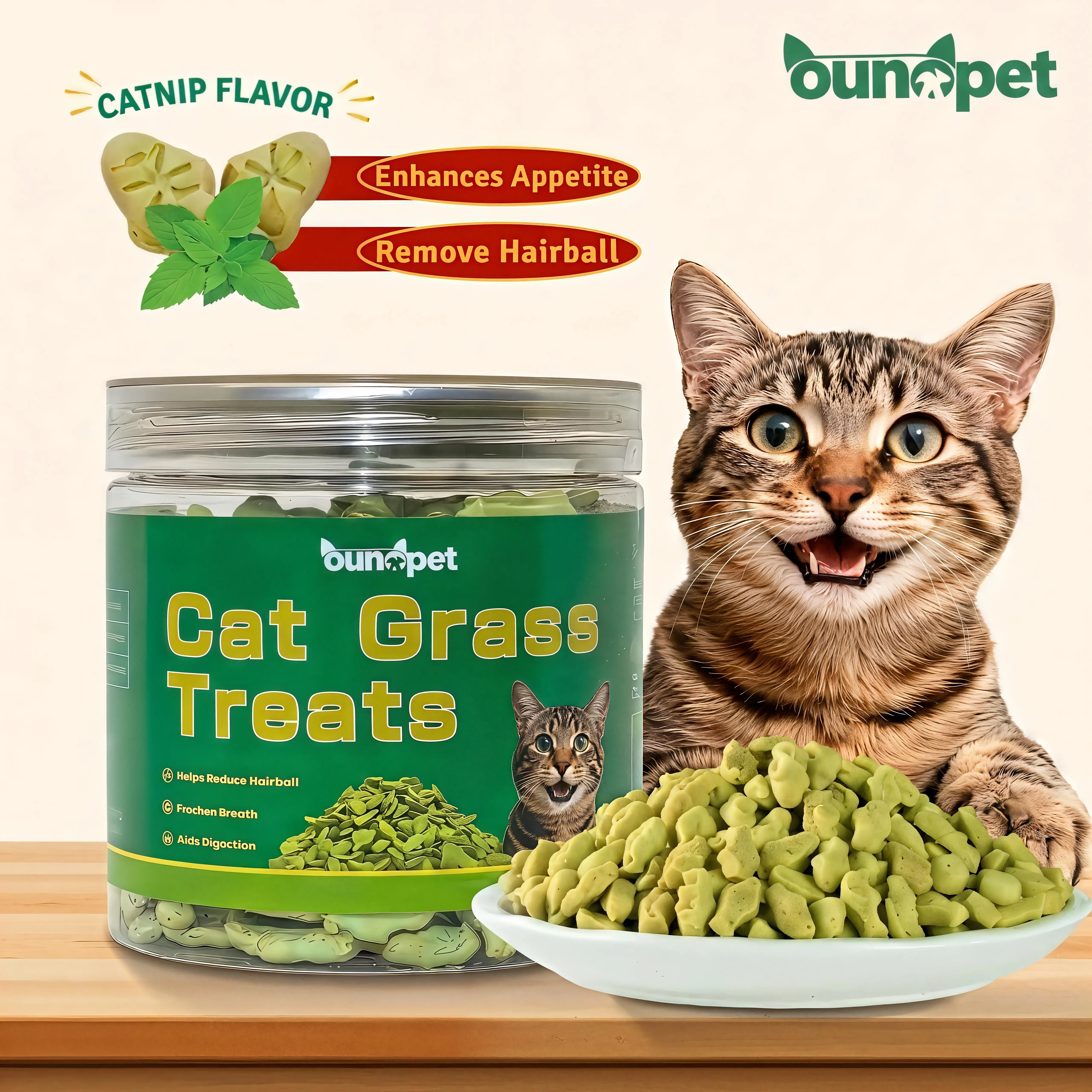 Cat Grass Treats Natural Salmon Flavor Healthy Cat Snacks Training Biscuits Catnip for Cats Dental and Hairball Control Treats Remedy Chews