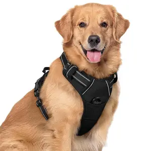 rabbitgoo Dog Harness, No-Pull Pet Harness with 2 Leash Clips, Adjustable Soft Padded Dog Vest