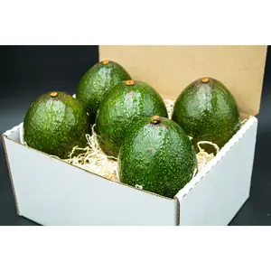 5 Reed Avocados - A large avocado with bold flavor