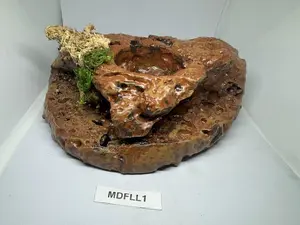 Reptile Magnetic Ledge With 5 Feeder Cups Large Desert