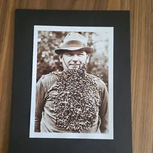 Honey Bees Love Me 8x10 Mounted Picture - Black Background, Sepia Photo Print, Wall Decor