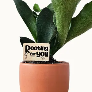 Rooting for You - Indoor Plant Accessories