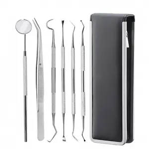 Dental Tools Set (6pcs), Stainless Steel, Teeth Cleaning Kit, Personal Oral Care Essentials, Silver Color, Includes Mirror & Tweezers, Oral Hygiene Essentials