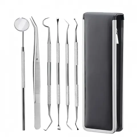 Dental Tools Set (6pcs), Stainless Steel, Teeth Cleaning Kit, Personal Oral Care Essentials, Silver Color, Includes Mirror & Tweezers, Oral Hygiene Essentials, Mouth Care Kit