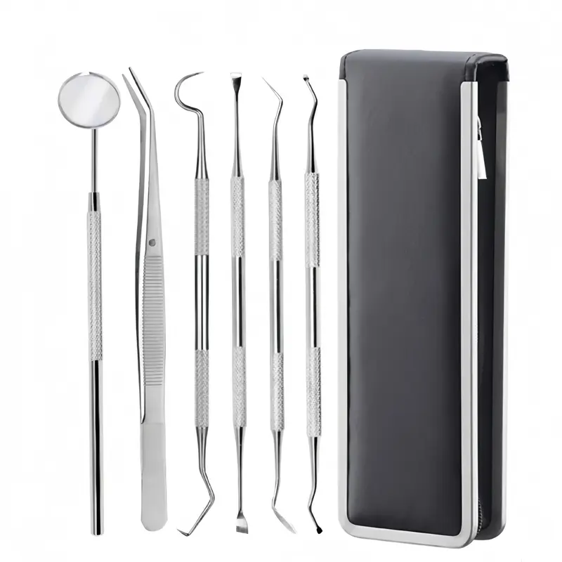 Dental Tools Set (6pcs), Stainless Steel, Teeth Cleaning Kit, Personal Oral Care Essentials, Silver Color, Includes Mirror & Tweezers, Oral Hygiene Essentials, Mouth Care Kit