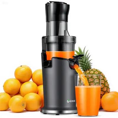 Nutribullet Masticating Juicer TikTok Shop