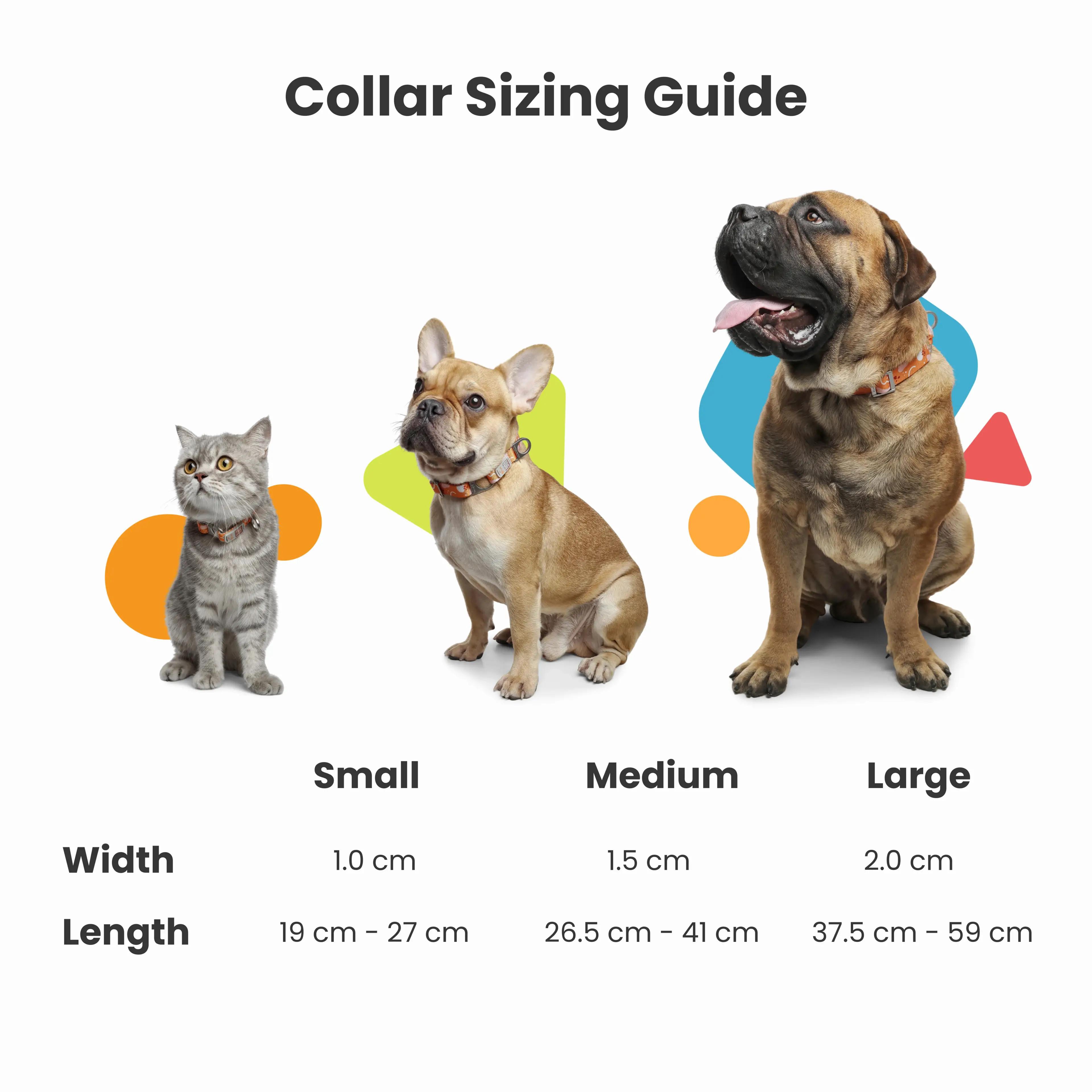 NeoCollar 'Pet Paradise' - 2-in-1 dog collar with ID tag - personalized with name - customized collar for pets NeoCollar 'Pet Paradise' - 2-in-1 dog collar with ID tag - personalized with name - customized collar for pets