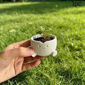 Smiling Flower Pot, Pot for Plants, Creative Succulent Planter Decor, Home Garden Office Desk Ornament, Perfect Gift, Unique Indoor Plant Container
