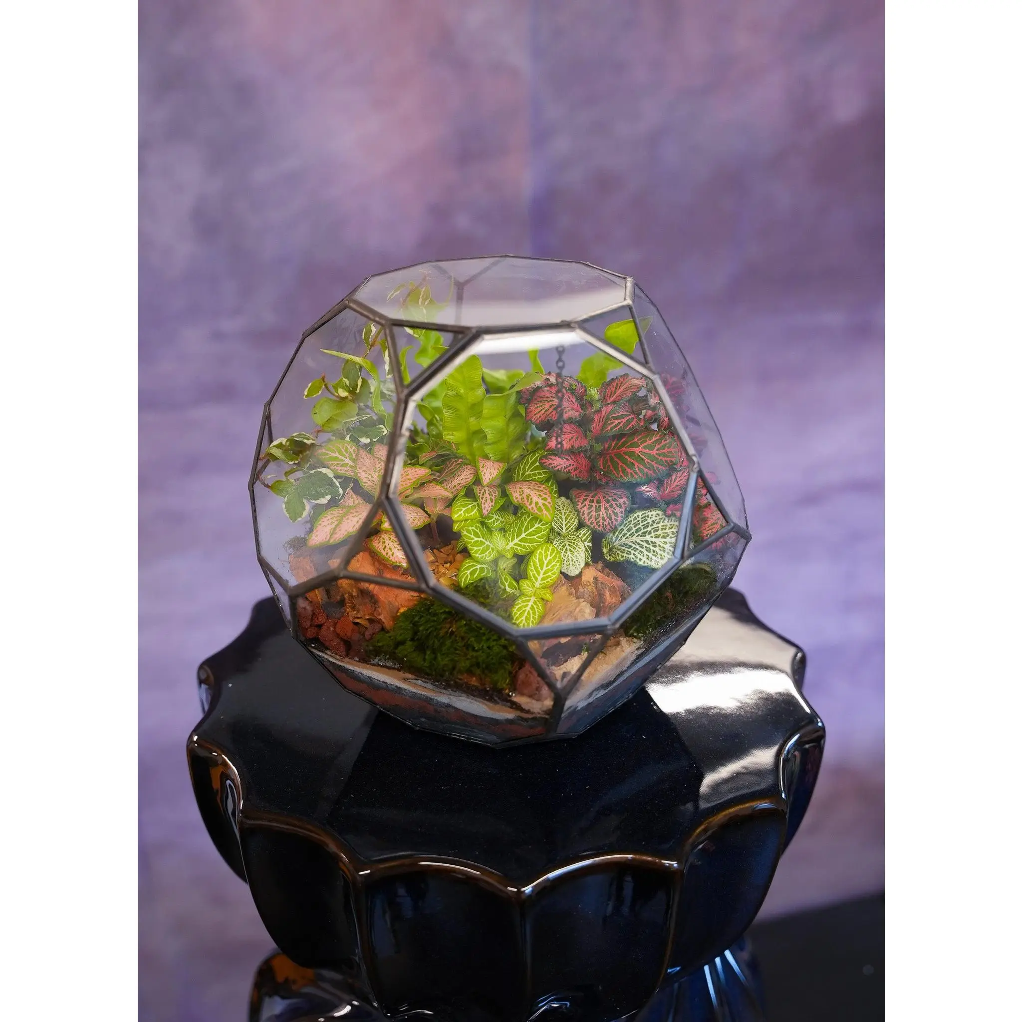 Mirage Terrarium