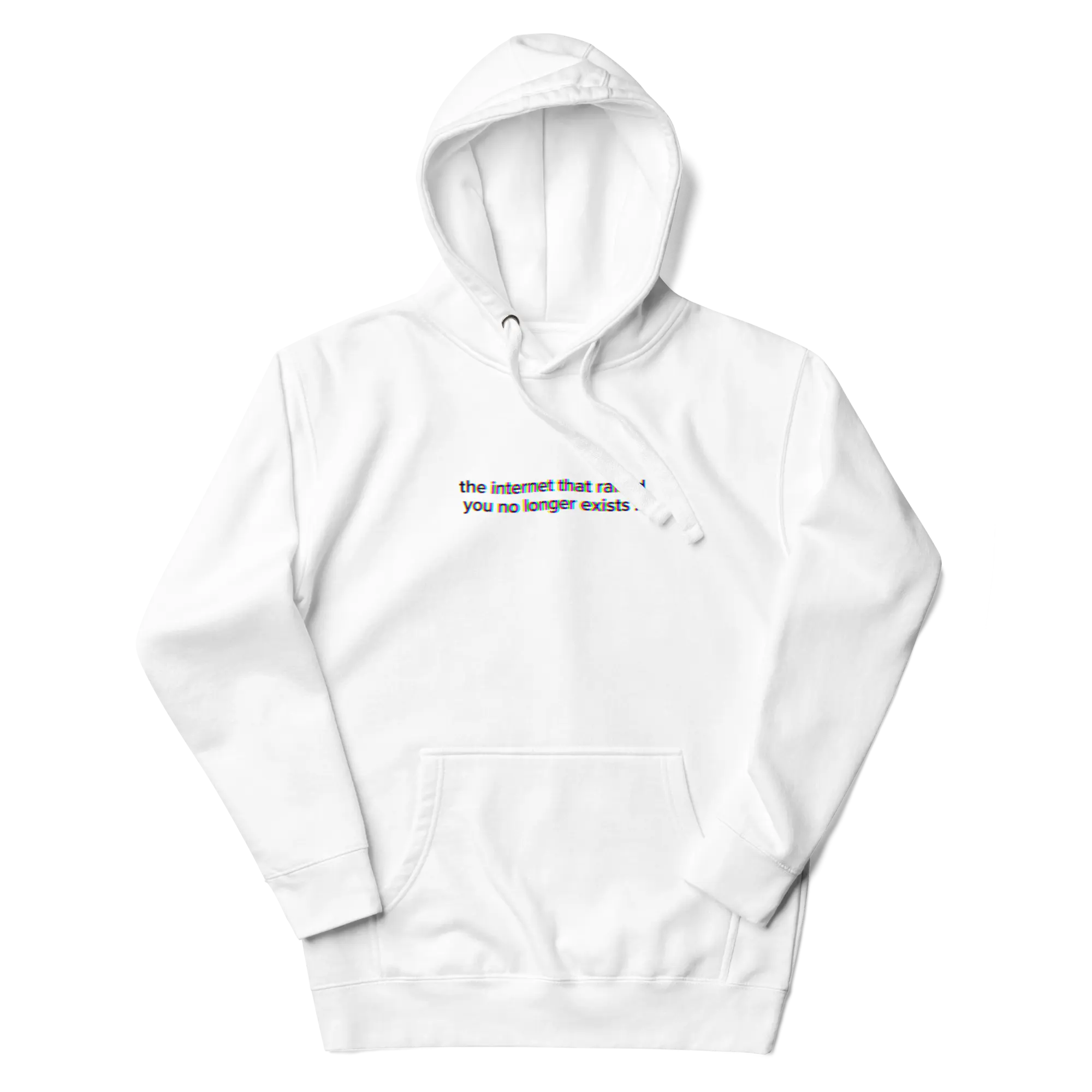 'the internet that raised you no longer exists !!!' hoodie