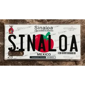 Sinaloa 3D ‘06 cases
