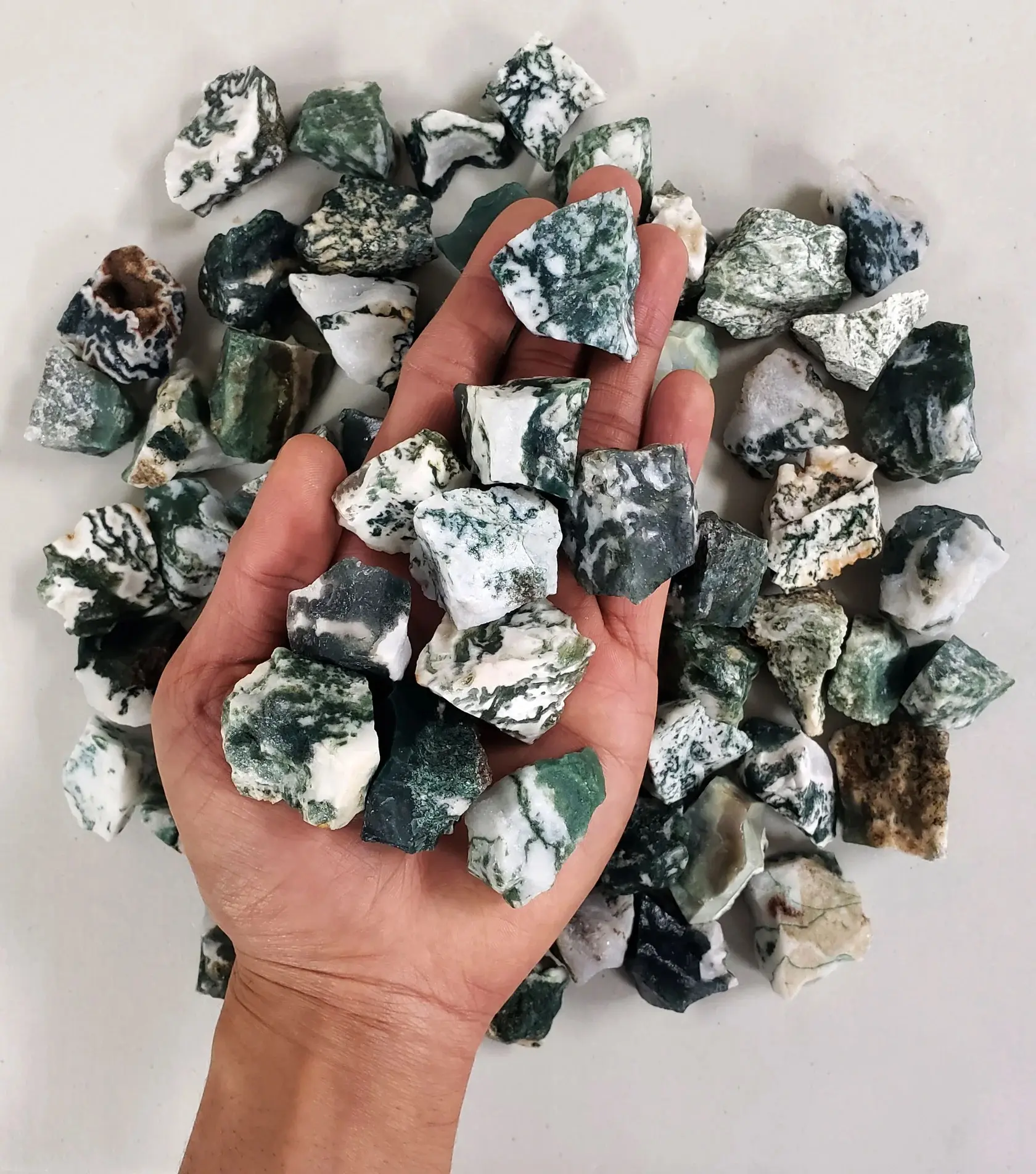Tree Agate Crystals Raw Bulk for Healing, Tumbling, Décor & Crafts
