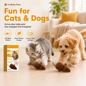 Interactive Mouse Toy for Cats, Simulated Mouse Catcher Toy, Pet Interactive Toy, Fun Cat Toy, Cat Scratcher Toy, Cats Chasing Toy, Pets Interactive Mice Toy, Mice Plush Toy, Mouse Plush Toy kitten