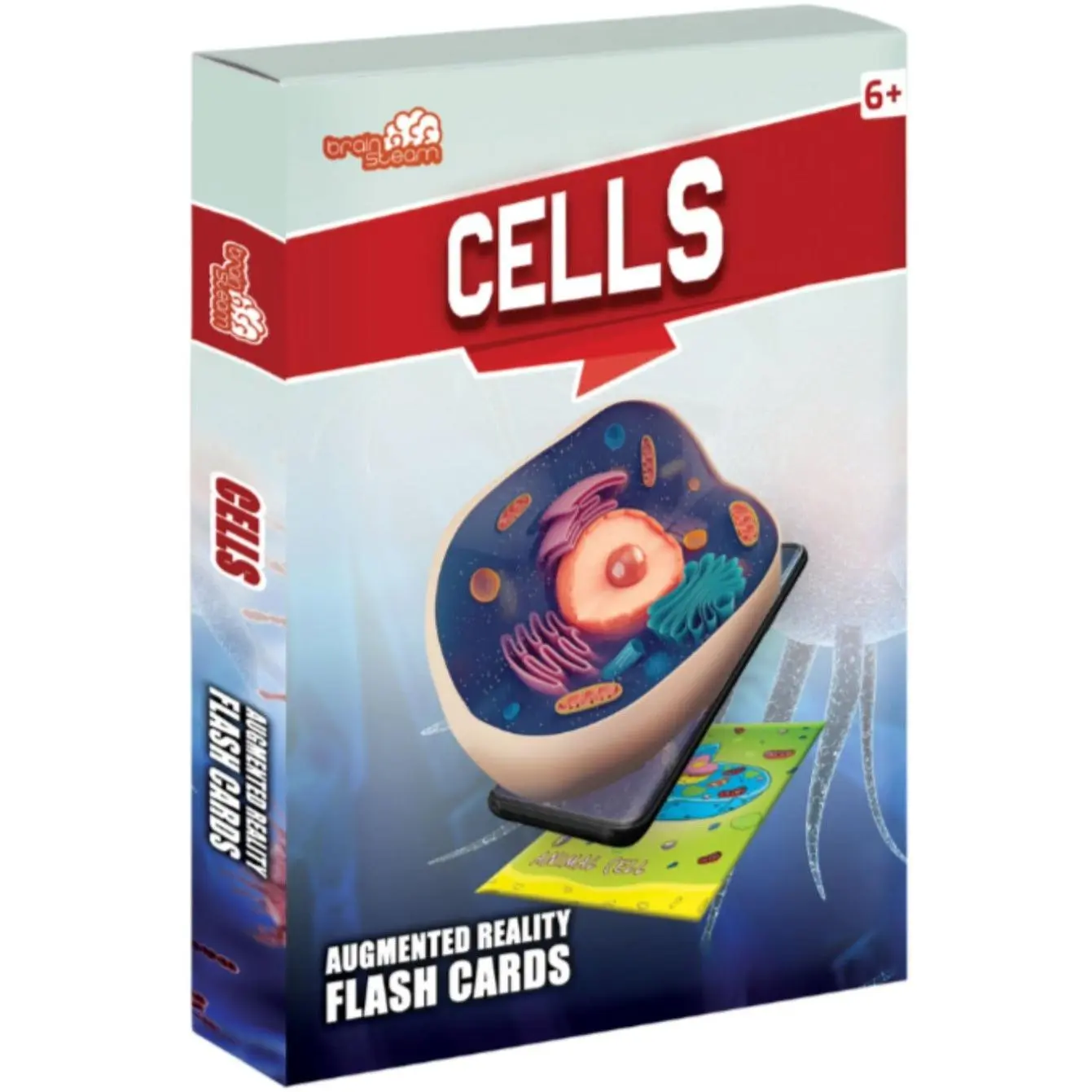 Cell Flash Cards - 4D Augmented Reality Flash Cards - Bold Pack