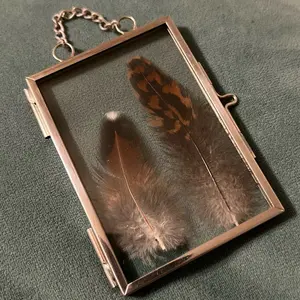Glass Framed Natural Feathers Home Decor