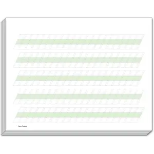 Channie's Quick & Neat Cursive Handwriting 250 pages count front and , 8,5" x 11"