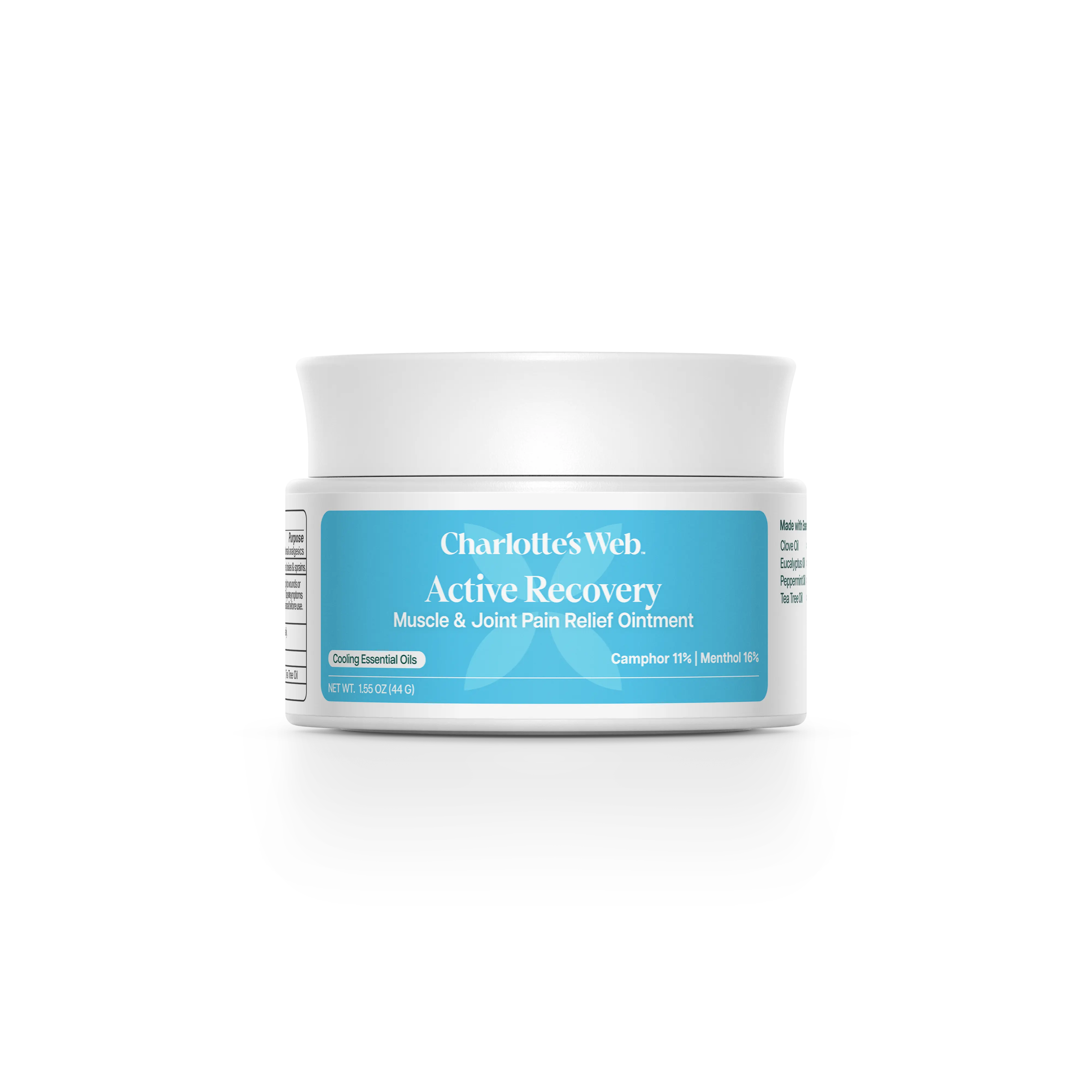 Active Recovery Muscle & Joint Pain Relief Ointment Active Recovery Muscle & Joint Pain Relief Ointment