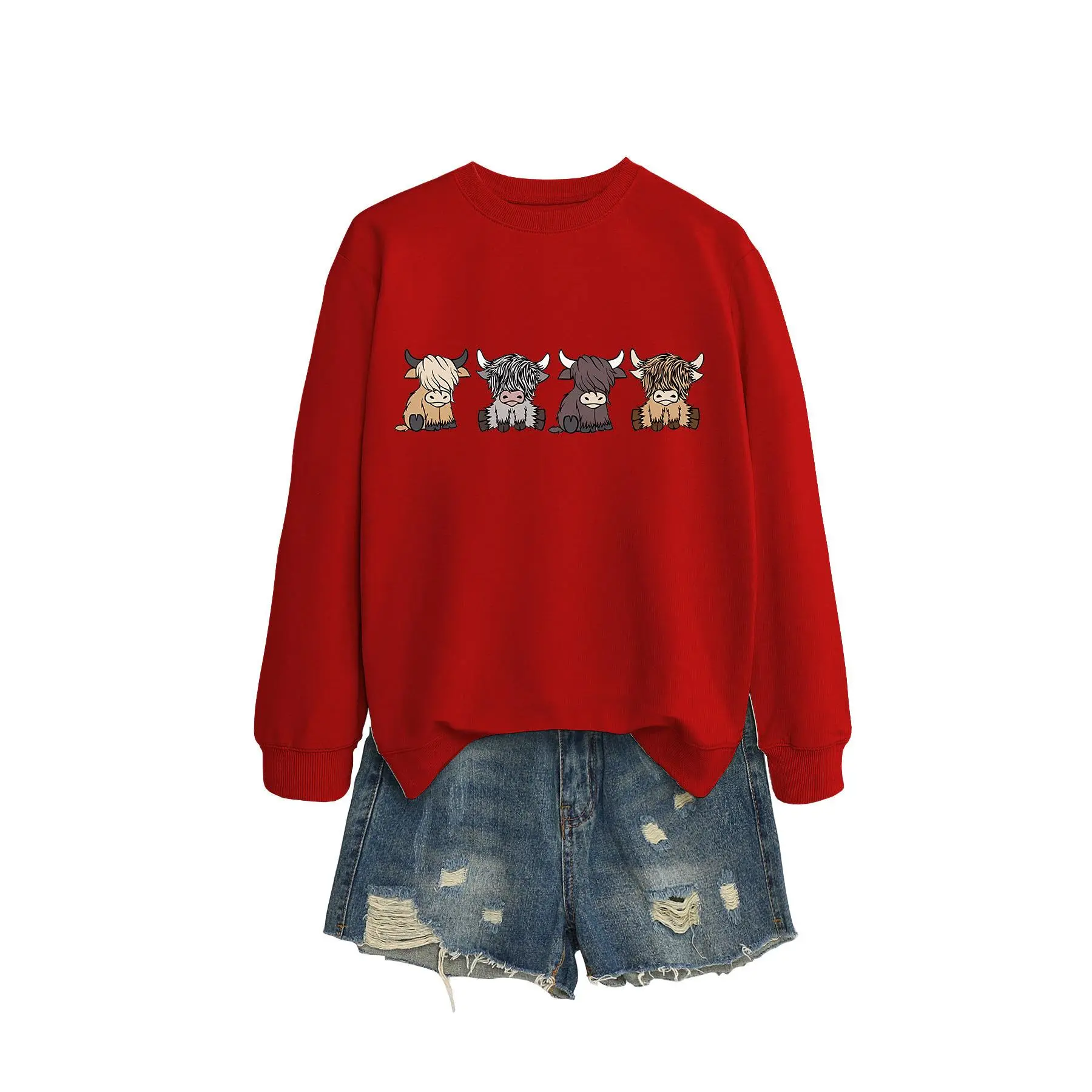 Big red hoodie (color picture)