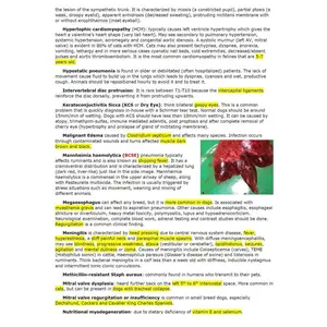 Comprehensive Internal Medicine Vet Notes: Your Key to Mastering Veterinary Diagnostics