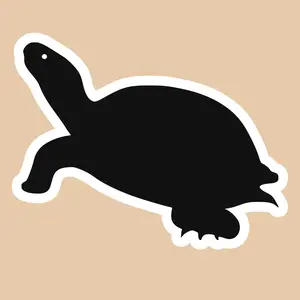 TURTLE Vinyl Decal Sticker Tortoise Shell Red eared Slider Box Snapping