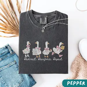 Silly Goose Paraprofessional Comfort Colors Tshirt, Funny Para Professional Shirt, Teachers Assistant Tee, Teachers Aide, Para Team Gift Check Collars