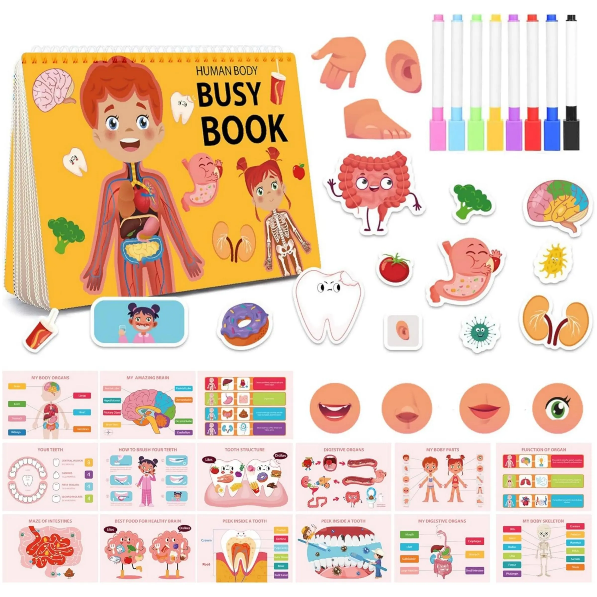 Body Structure Cognitive Early Learning Quiet Book, Visual Learning Tools, Preschool Learning Tool, Learning Materials, 32 Thematic Sensory Learning Educational Activities, Educational Supplies for Boys and Girls