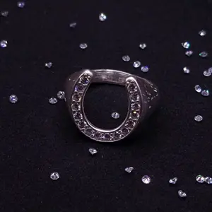 Lucky HorseShoe Ring